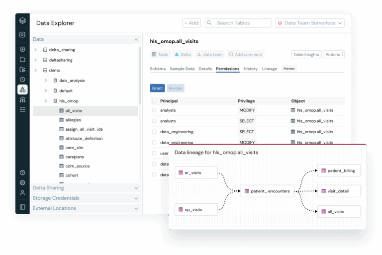 Databricks Governance