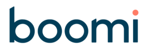 BOOMI BIG Technology Partner